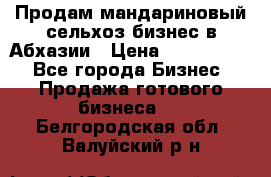 Продам мандариновый сельхоз-бизнес в Абхазии › Цена ­ 1 000 000 - Все города Бизнес » Продажа готового бизнеса   . Белгородская обл.,Валуйский р-н